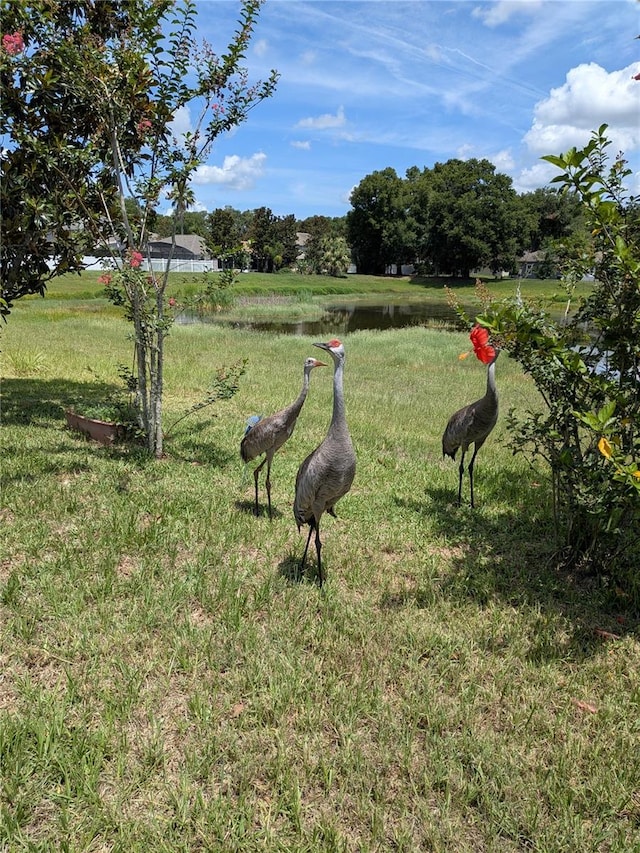 223 W Fiesta Key Loop, Deland, FL 32720 - view of green lawn featuring a water view