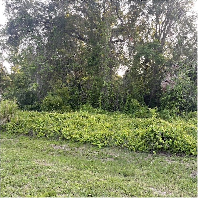 2701 Kingfisher Vlg, Deland, FL 32720 - photo 1