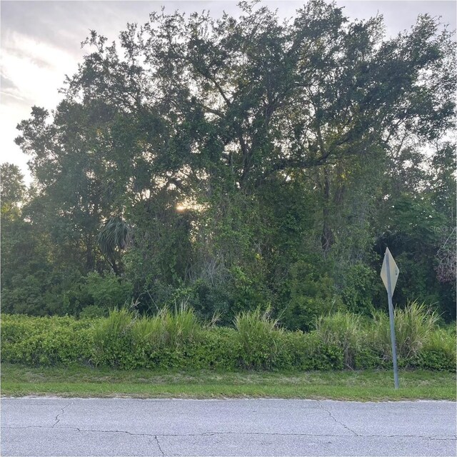 2701 Kingfisher Vlg, Deland, FL 32720 - photo 4