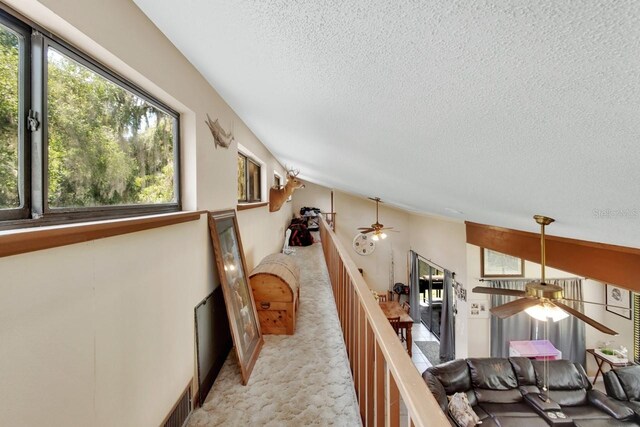 910 Braddock Rd, Enterprise, FL 32725 - photo 15