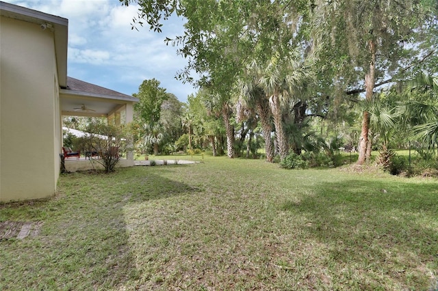 2770 Red Wing Vlg, Deland, FL 32720 - photo 37