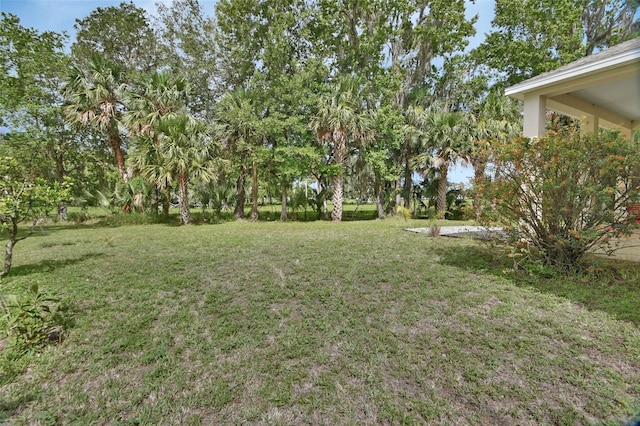 2770 Red Wing Vlg, Deland, FL 32720 - photo 39