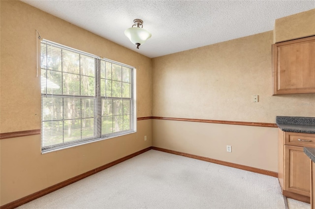 840 Center Ave Unit 280, Daytona Beach, FL 32117 - unfurnished dining area with light carpet and a textured ceiling