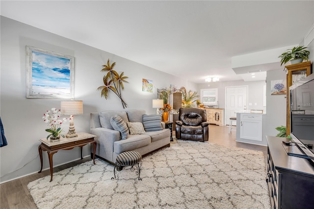 10 Lynnhurst Dr Unit 1050, Ormond Beach, FL 32176 - living area with light wood-style flooring