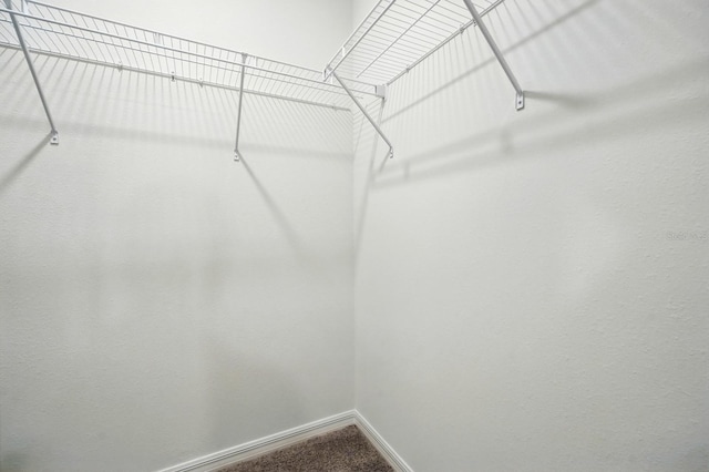 1161 Kenway Ave, Deltona, FL 32738 - walk in closet with carpet floors
