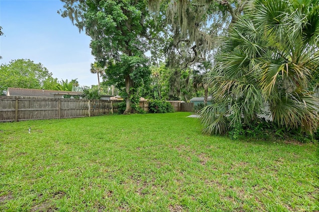 812 Faulkner St, New Smyrna Beach, FL 32168 - view of fenced backyard