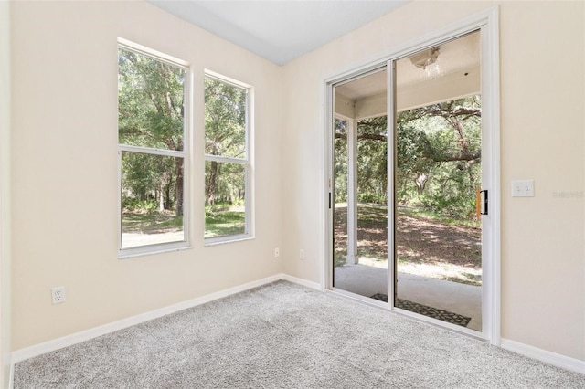 11933 Pasco Trails Blvd, Spring Hill, FL 34610 - photo 20