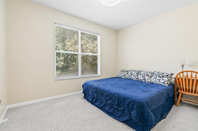 11933 Pasco Trails Blvd, Spring Hill, FL 34610 - photo 23