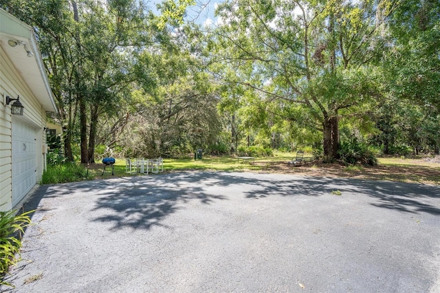 11933 Pasco Trails Blvd, Spring Hill, FL 34610 - photo 35