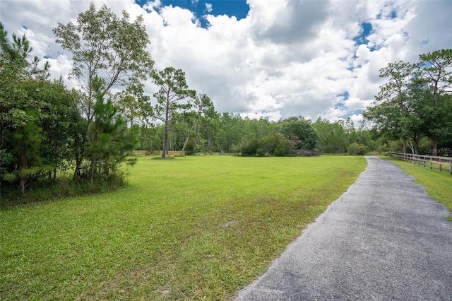 11933 Pasco Trails Blvd, Spring Hill, FL 34610 - photo 37