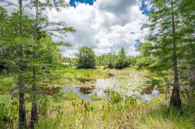 11933 Pasco Trails Blvd, Spring Hill, FL 34610 - photo 39