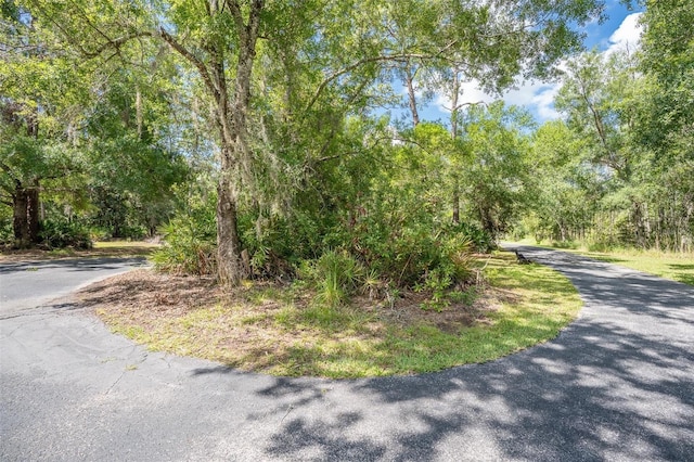 11933 Pasco Trails Blvd, Spring Hill, FL 34610 - photo 41