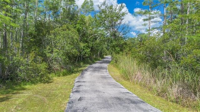 11933 Pasco Trails Blvd, Spring Hill, FL 34610 - photo 44