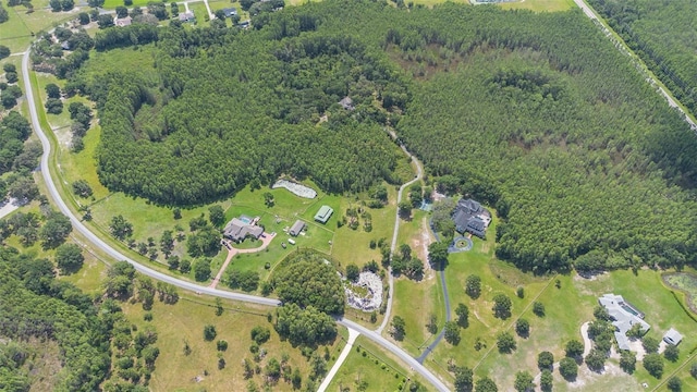 11933 Pasco Trails Blvd, Spring Hill, FL 34610 - photo 49