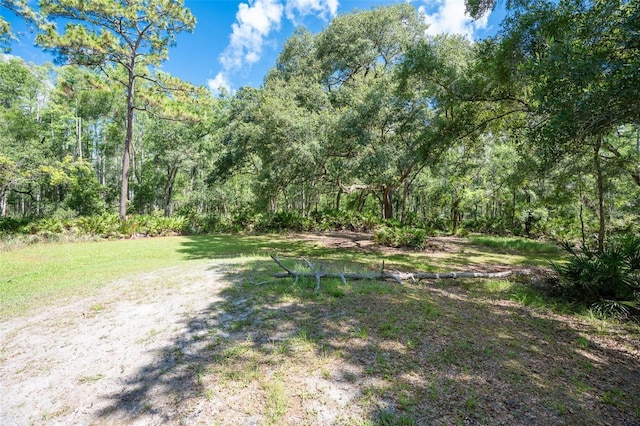 11933 Pasco Trails Blvd, Spring Hill, FL 34610 - photo 54