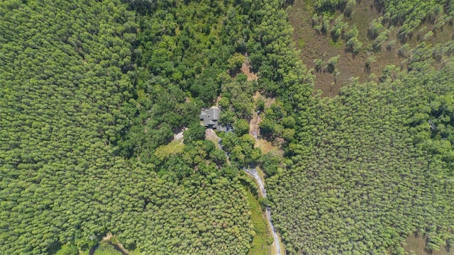 11933 Pasco Trails Blvd, Spring Hill, FL 34610 - photo 56