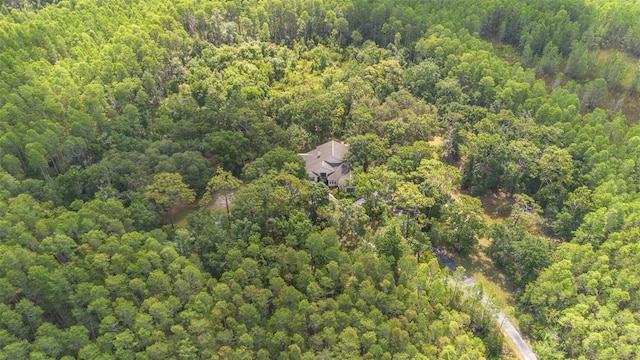 11933 Pasco Trails Blvd, Spring Hill, FL 34610 - photo 58