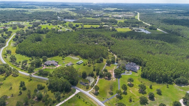 11933 Pasco Trails Blvd, Spring Hill, FL 34610 - photo 61