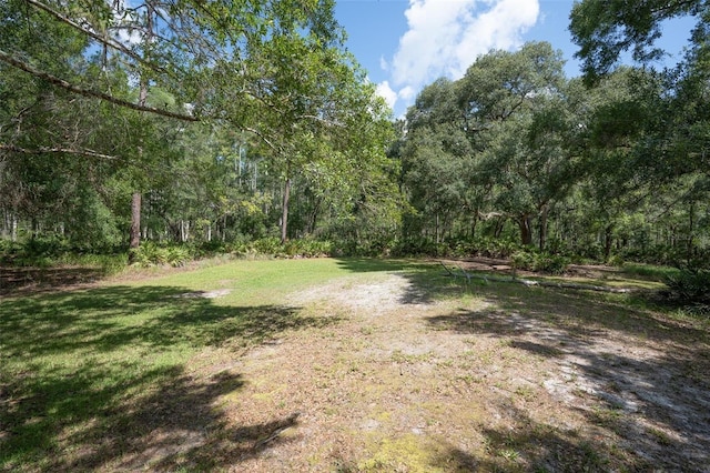 11933 Pasco Trails Blvd, Spring Hill, FL 34610 - photo 63