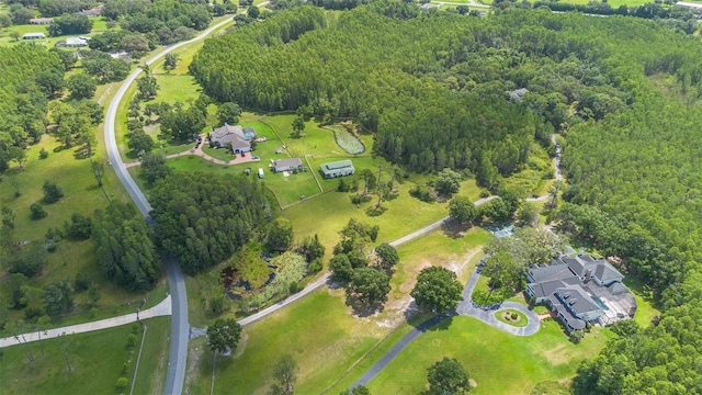 11933 Pasco Trails Blvd, Spring Hill, FL 34610 - photo 64