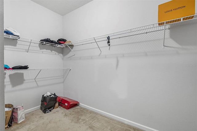31 Abacus Ave, Ormond Beach, FL 32174 - spacious closet featuring carpet