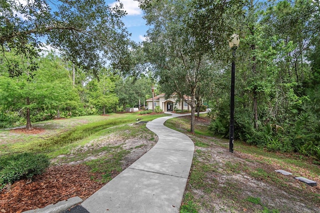 31 Abacus Ave, Ormond Beach, FL 32174 - view of community