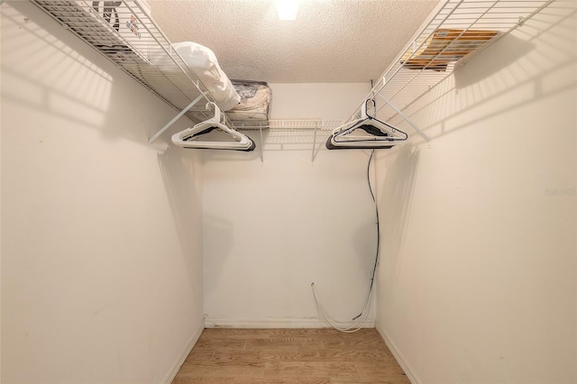 961 S Lakewood Ter Unit C, Port Orange, FL 32127 - spacious closet featuring light wood-type flooring