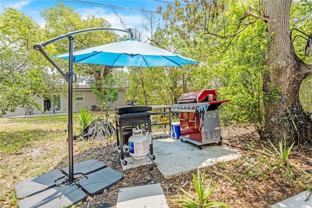1455 Whitewood Dr, Deltona, FL 32725 - view of yard