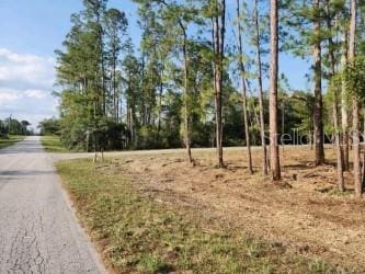 Aspen St, Eustis, FL 32736