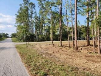 Aspen St, Eustis, FL 32736