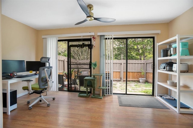 874 Commonwealth Ct, Casselberry, FL 32707 - home office with healthy amount of natural light, wood finished floors, and a ceiling fan