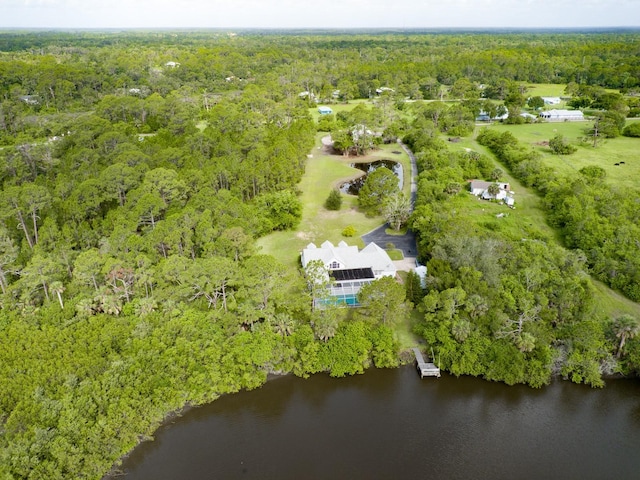 1383 Tumblin Dr, New Smyrna Beach, FL 32168 - drone / aerial view of a heavily wooded area and a nearby body of water