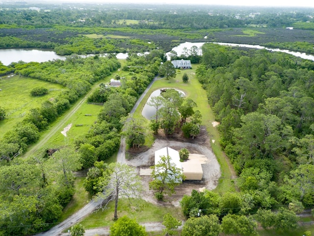 1383 Tumblin Dr, New Smyrna Beach, FL 32168 - aerial view of property and surrounding area featuring a nearby body of water and a heavily wooded area