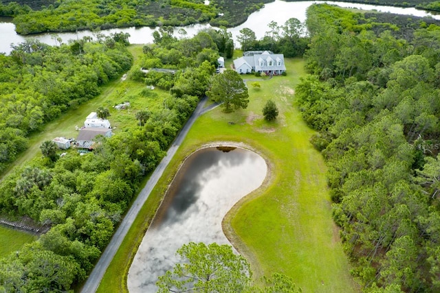 1383 Tumblin Dr, New Smyrna Beach, FL 32168 - aerial view of a nearby body of water
