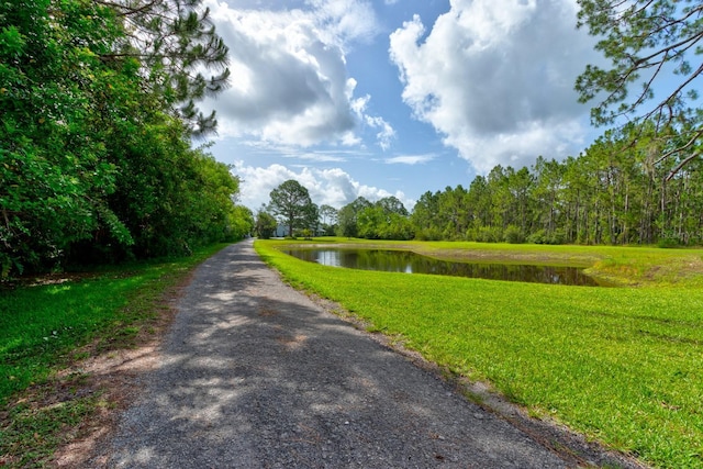 1383 Tumblin Dr, New Smyrna Beach, FL 32168 - view of street featuring a water view and a forest view