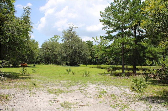 1676 Sunset Trl, Geneva, FL 32732 - photo 1
