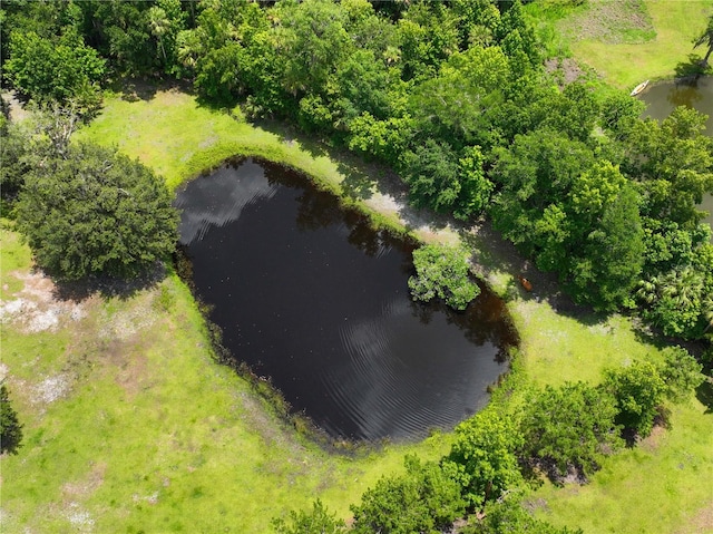1676 Sunset Trl, Geneva, FL 32732 - photo 4