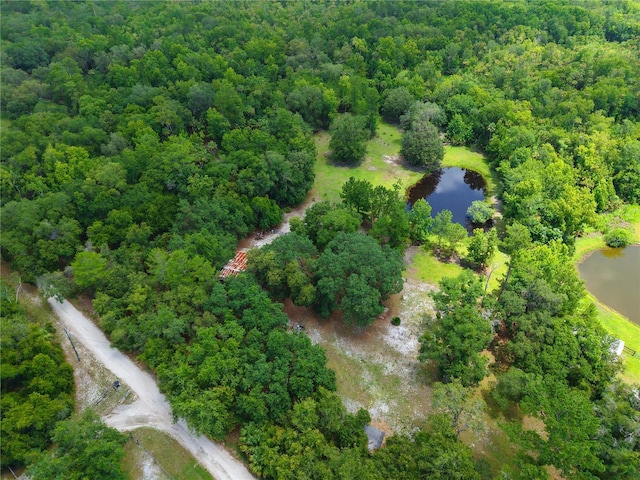 1676 Sunset Trl, Geneva, FL 32732 - photo 5
