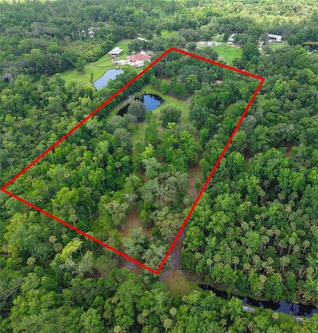 1676 Sunset Trl, Geneva, FL 32732 - photo 7