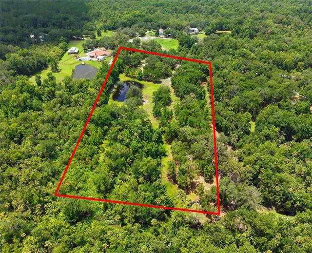 1676 Sunset Trl, Geneva, FL 32732 - photo 8