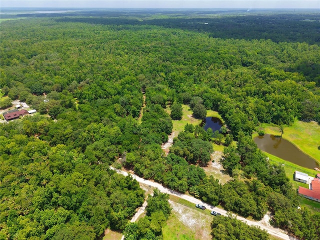1676 Sunset Trl, Geneva, FL 32732 - photo 9