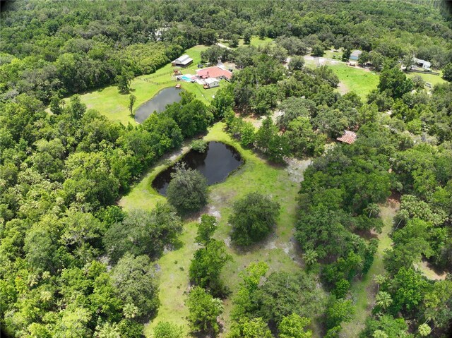 1676 Sunset Trl, Geneva, FL 32732 - photo 11
