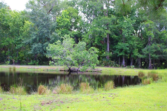 1676 Sunset Trl, Geneva, FL 32732 - photo 20