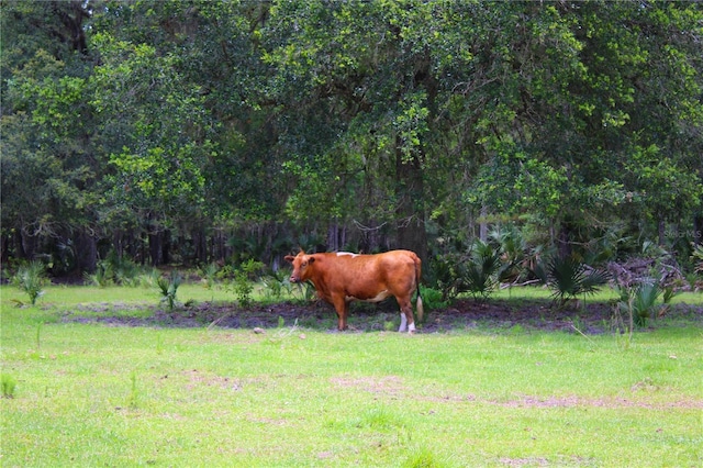 1676 Sunset Trl, Geneva, FL 32732 - photo 21