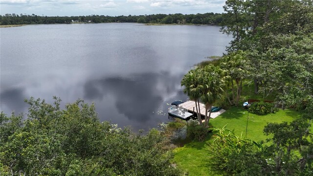 270 Sandyhook Ln, Deland, FL 32724 - drone / aerial view of a large body of water