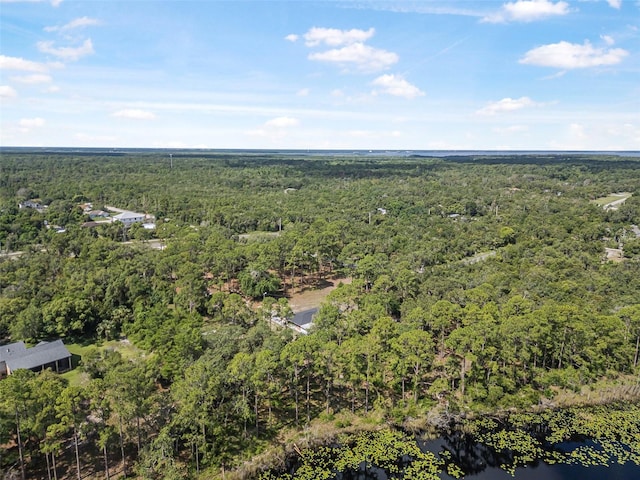 2620 Doyle Rd, Deltona, FL 32738 - photo 20