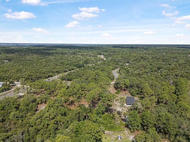 2620 Doyle Rd, Deltona, FL 32738 - photo 21