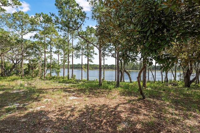 2620 Doyle Rd, Deltona, FL 32738 - photo 46