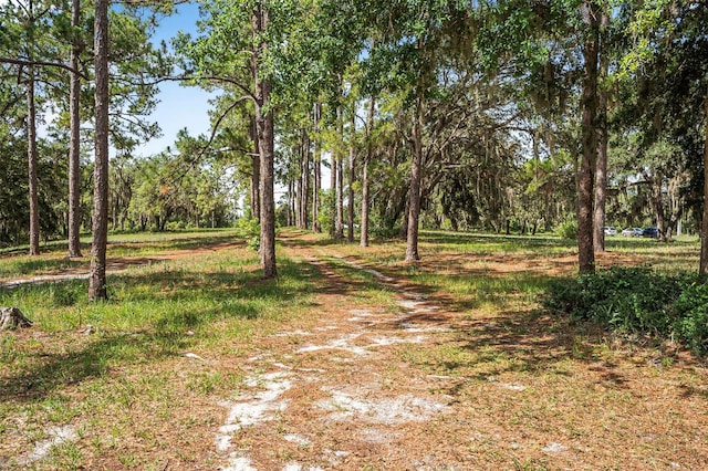 2620 Doyle Rd, Deltona, FL 32738 - photo 47