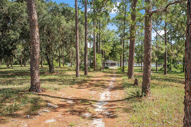 2620 Doyle Rd, Deltona, FL 32738 - photo 48